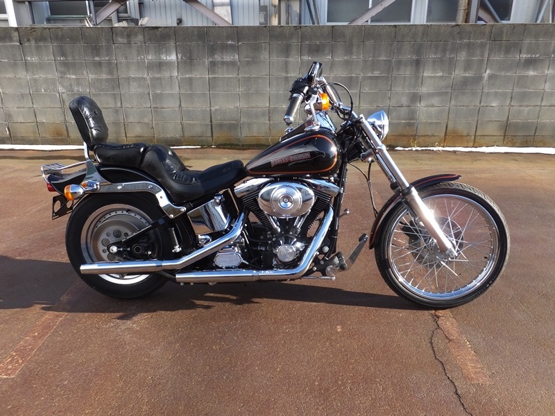 1991FXSTC for sale2