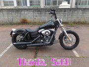 2011FXDB sold