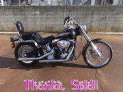 1991FXSTC2 sold2
