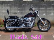 2015FXDL中古